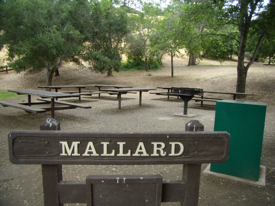 Mallard Picnic Area