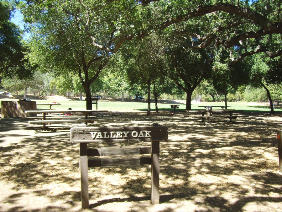 Valley Oak Picnic Area