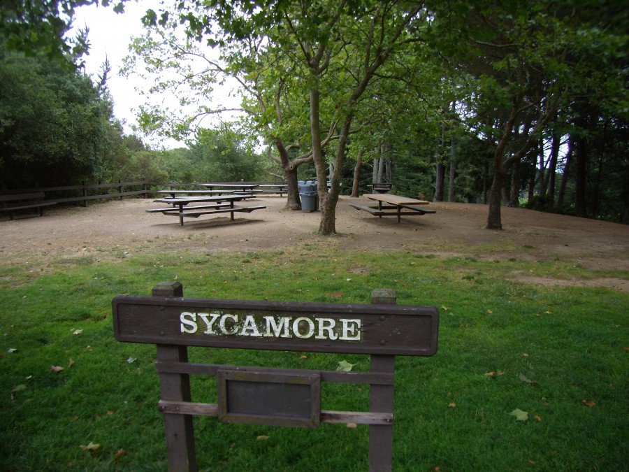 Sycamore Picnic Area
