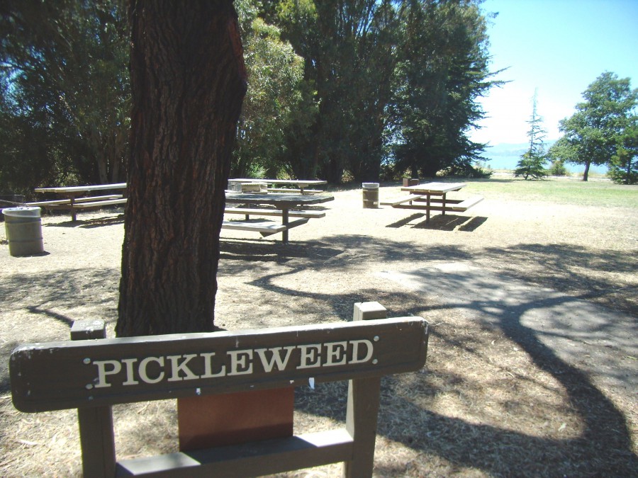 Pickleweed Picnic Area