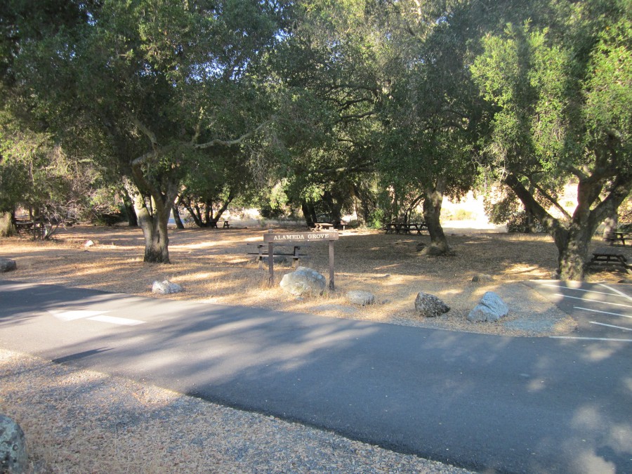 Alameda Grove Picnic Area