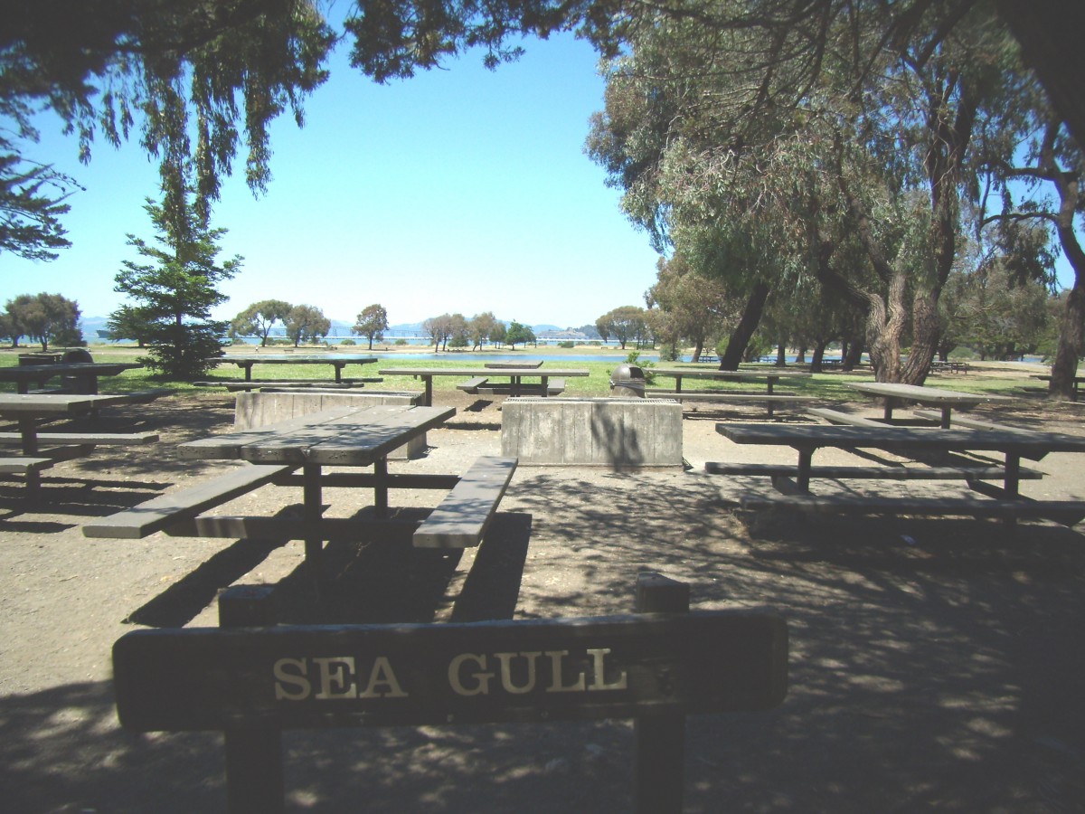 Sea Gull Picnic Area