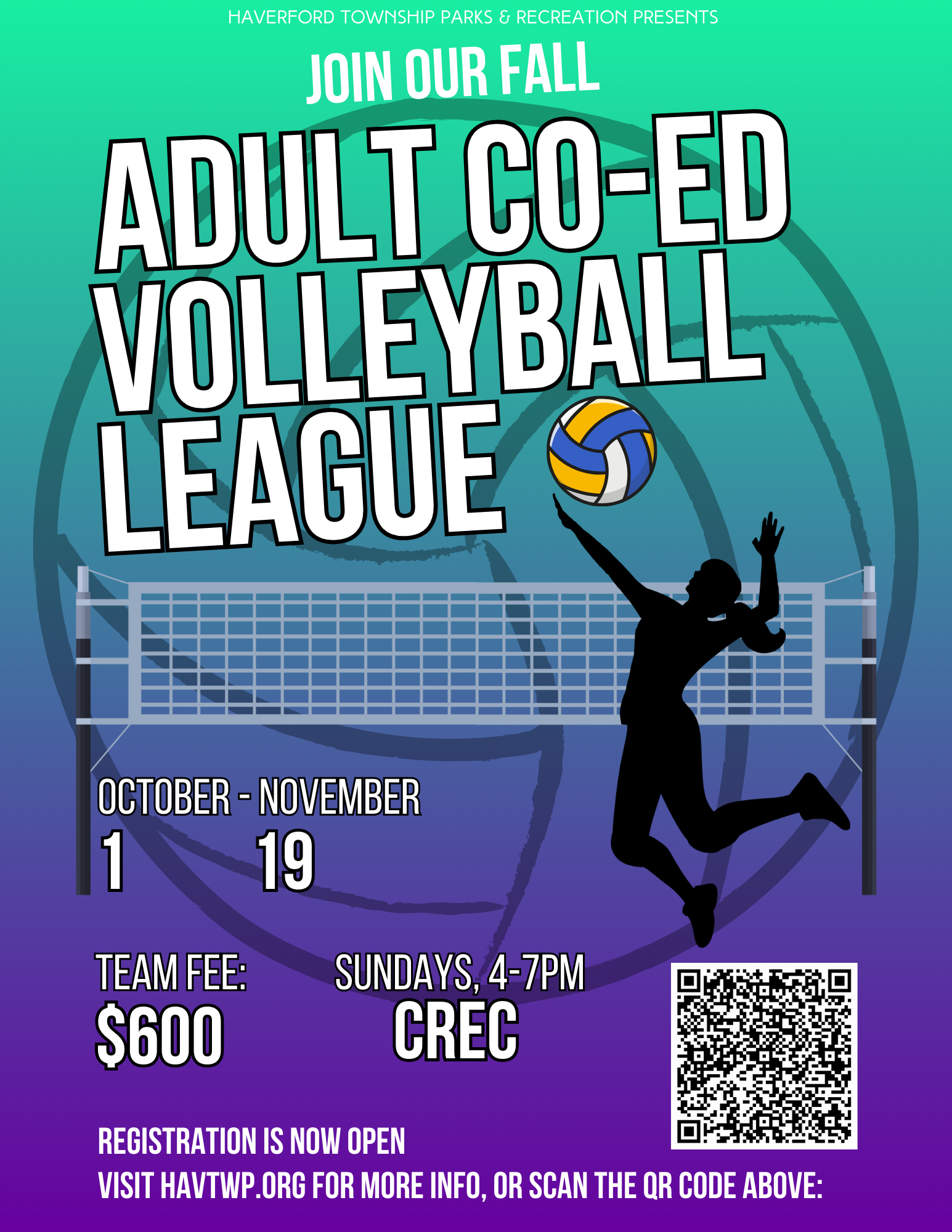 Adult Volleyball League