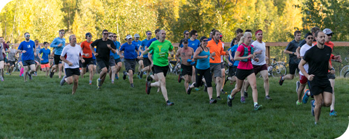 Runners racing on grass