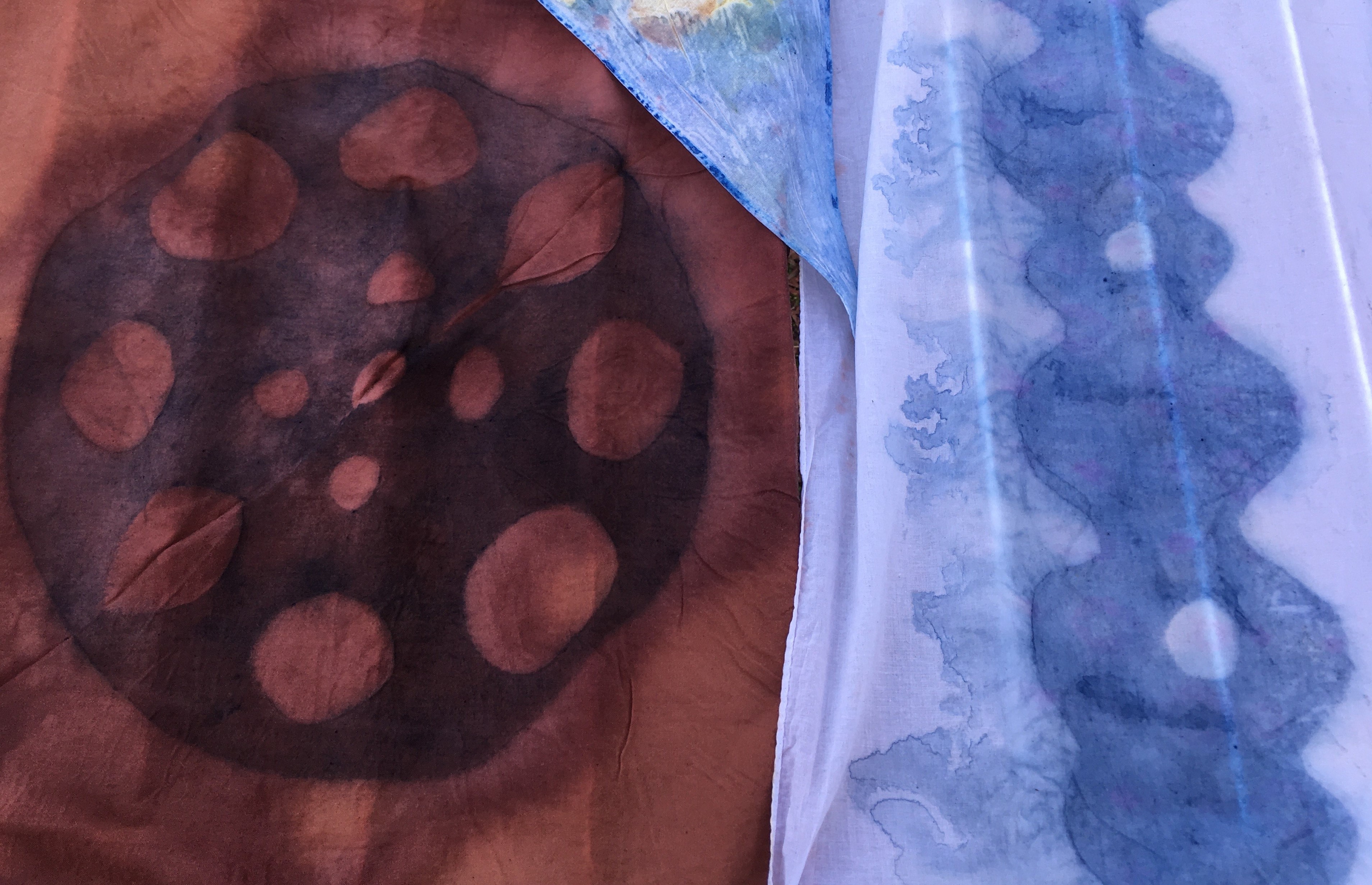 Selective Dyeing with Natural Dyes
